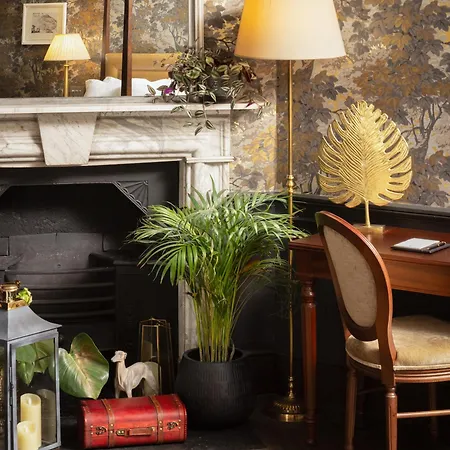 Carton House A Fairmont Managed Hotel Maynooth Esterno foto A houseplant